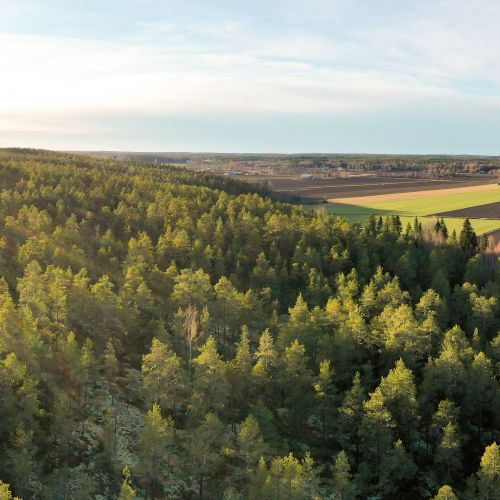 Drönarbild över Boberget till vänster och åkrarna i Tuckor nedanför till höger.