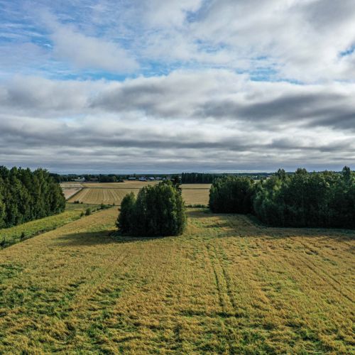 Siirtolohkare on kasvillisuuden ympäröimä ja näyttää pieneltä metsäsaarekkeelta keskellä peltoaukeaa.