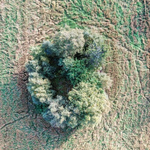 Sömjostenen-siirtolohkare ylhäältä katsottuna. Kun puut kasvavat korkeutta, itse siirtolohkare on vaikea enää nähdä.