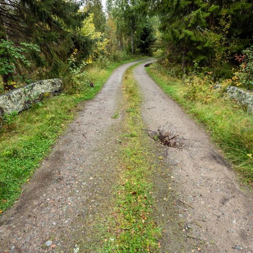 Kipprotintien yllä lepää taianomainen tunne.