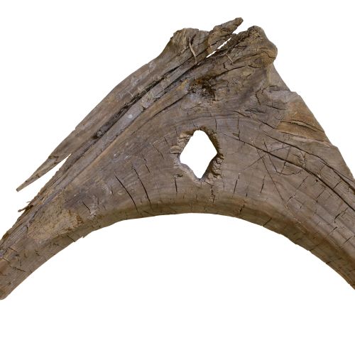 Stamkraft, dvs. ett triangelformat trästycke som bidrar till att fästa kölen och borden på en träbåt.